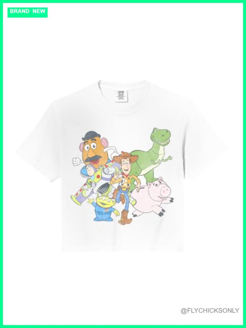 Disney Toy Story Group Shot Crop Top Boxy Fit Comfort Colors Tee